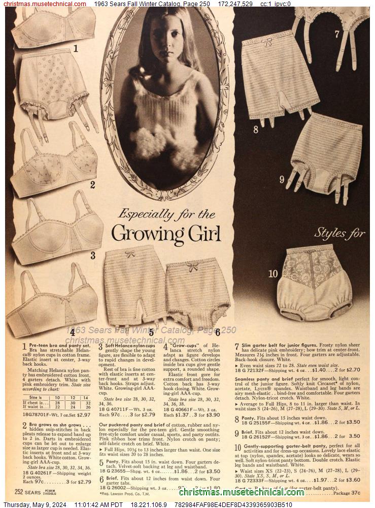 1963 Sears Fall Winter Catalog, Page 250
