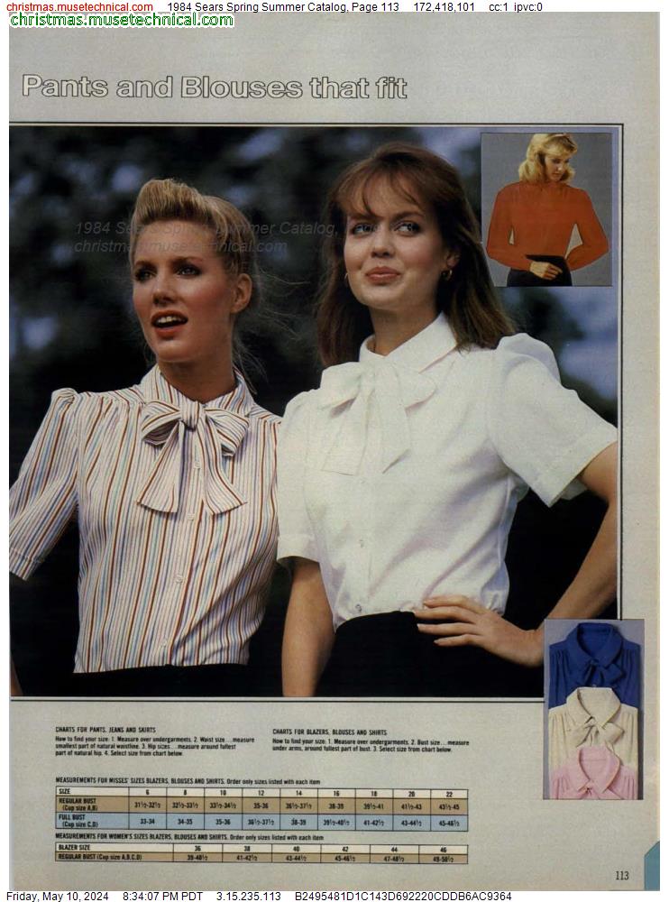 1984 Sears Spring Summer Catalog, Page 113
