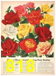 1945 Sears Spring Summer Catalog, Page 818